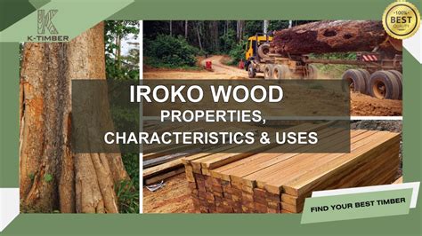 African Teak moisture meter|Iroko Wood – Characteristics, Uses, Pros and Cons.